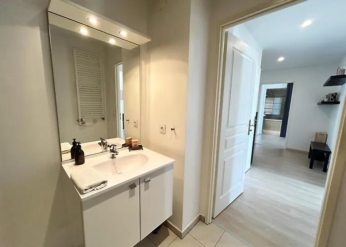 Apartment Rooftop 6 Pers, 2 Sdb Avec Terrasse Reims